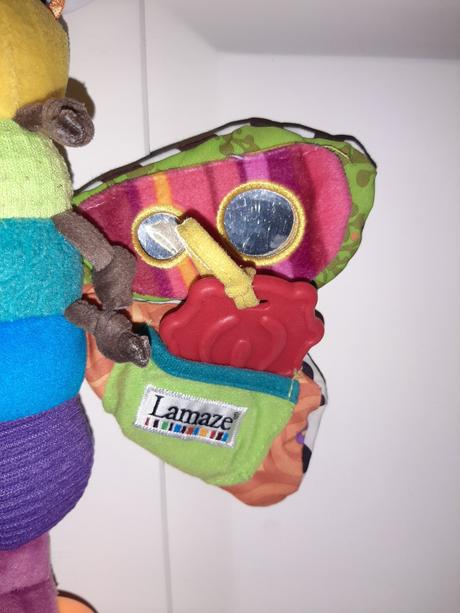 Motýľ tommy lamaze, 