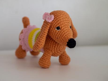 Háčkovaný jazvečík, 