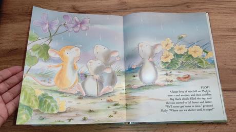 Kniha myška a burka výborný stav,