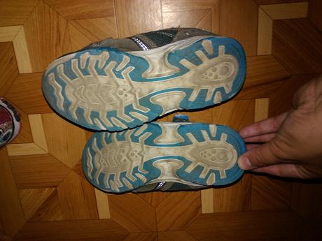 Botasky, authority,33