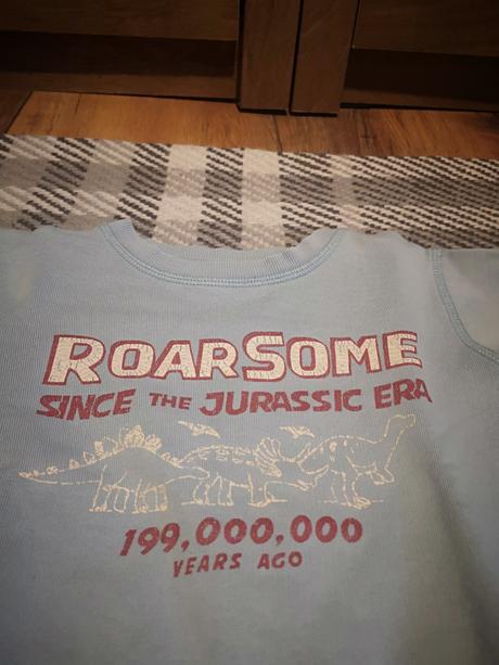 Chlapčenské mikinky značky next, next,92