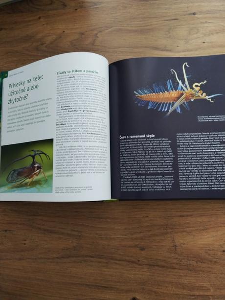 Skrytá tvar prirody,