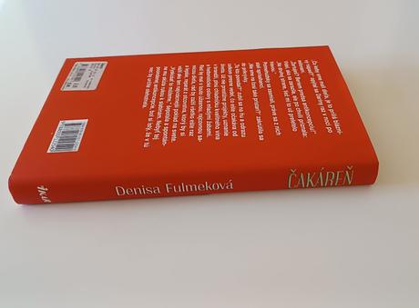 Čakáreň, denisa fulmeková,