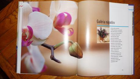 Nádhera kvetín/ dvesto izbových rastlín, 