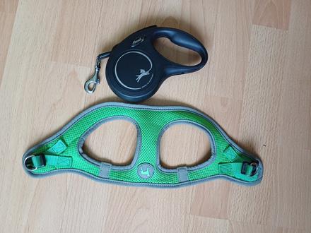 Predám voditko a postroj pre psikov, 