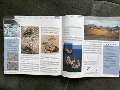 Mistrovství práce s dslr, 