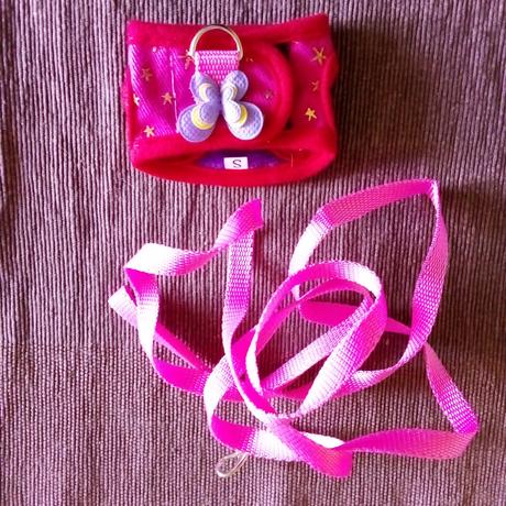 Vodítko popruh pre morča,