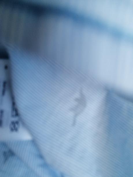 Košeľa s potlačou dinosaurov, 128