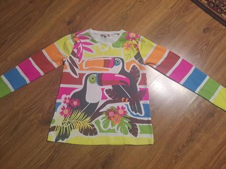 Tričko s papagájmi, 152