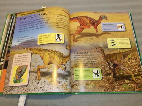 All about dinosaurs  su22, 