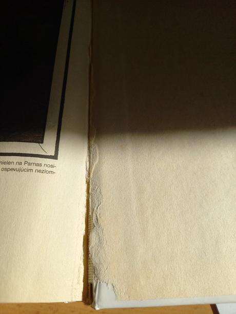 Ernest hemingway - posledné safari,