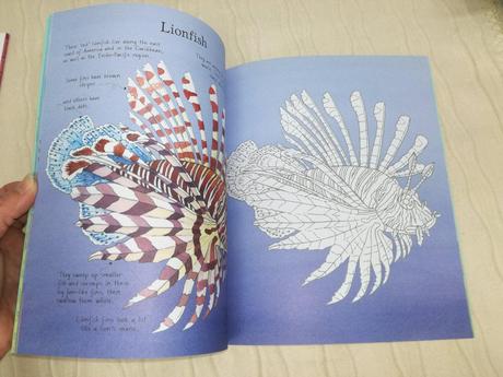 Usborne rainforest wildlife to colour njul18, 