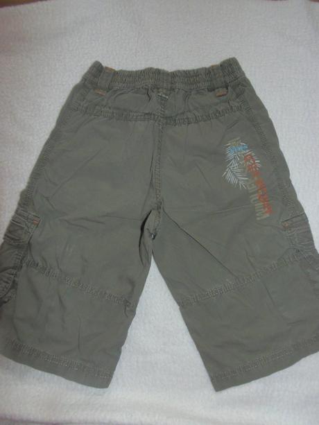 Trištvrťáky, palomino,122