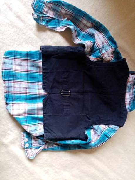 Kosela s vestou, palomino,104