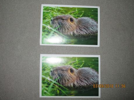 Nálepky jednota - zvieratká slovenska, 