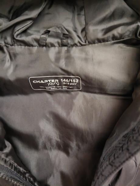 Vesta, chapter young,146