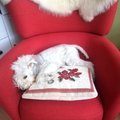 u babky na prazdninach