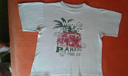 Chlapčenské tričko č. 110, 110