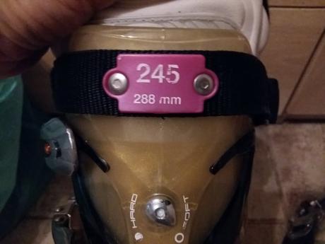 Lyžiarky, rossignol,37