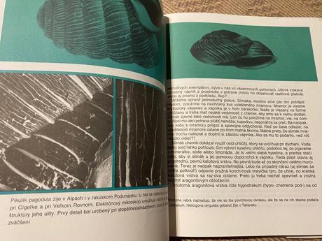 Život v schránke mikuláš j. lisický slimáky ulity, 