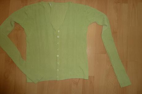 Bledozeleny svetrik, terranova,m