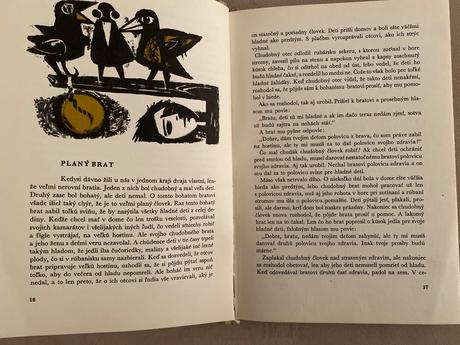 Kniha- tri víly na salaši,