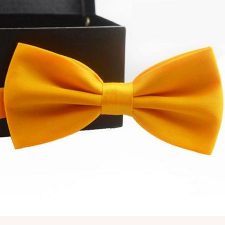 Jednoduchý, jednofarebný, saténový motýlik, 