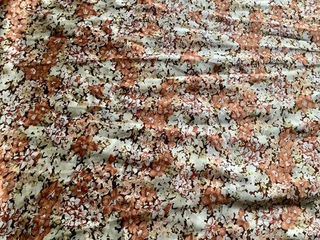 Krasny tenký sal/ ch6, 