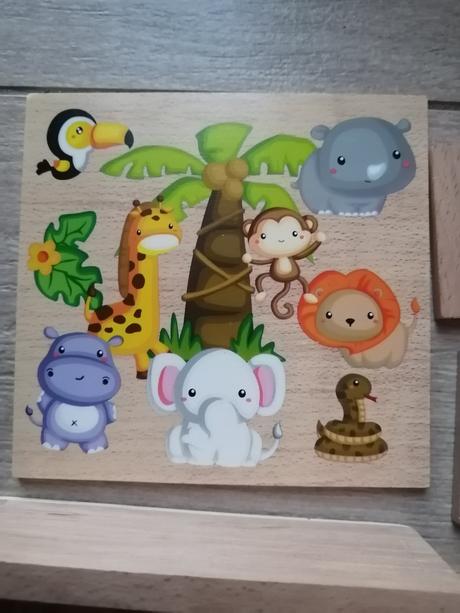 Drevené pexeso v džungli a v savane, 