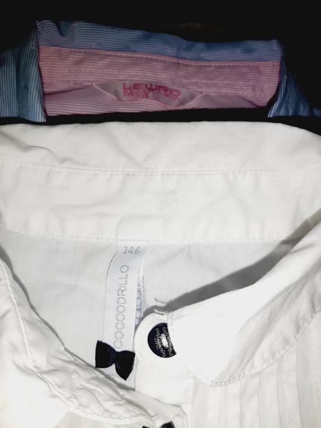 Blúzky lewro, coccodrillo, 140-146, coccodrillo,140