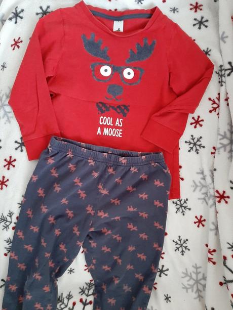 Pyzamko, palomino,110