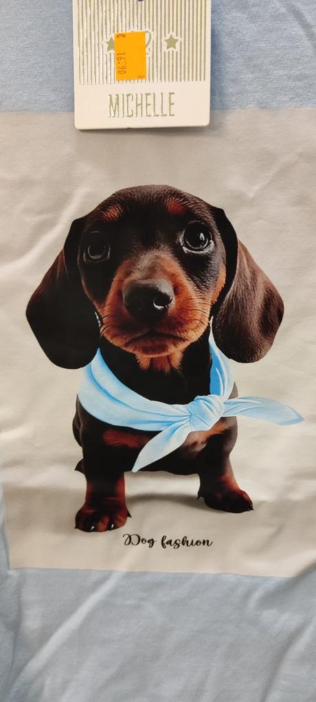 Tričko s jazvečíkom, 