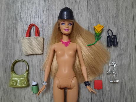 Doplnky pre barbie 9,