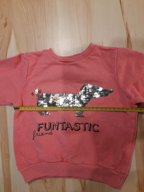 Mikina so psikom, pepco,98