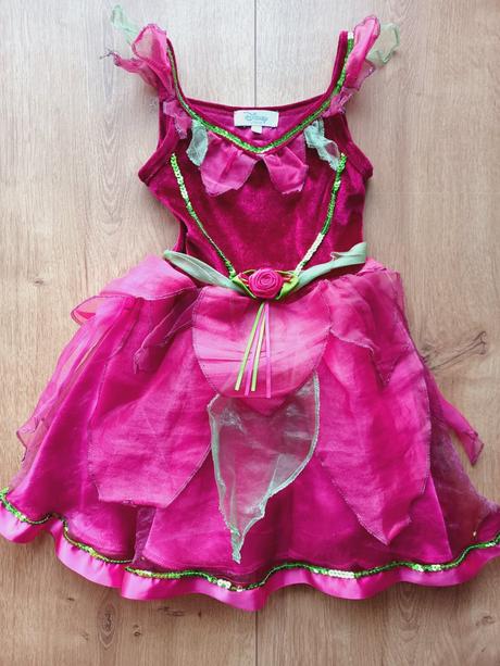 Princezná, víla alebo šípová ruženka,