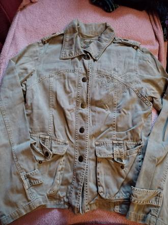 Svetlosiva bundicka, m