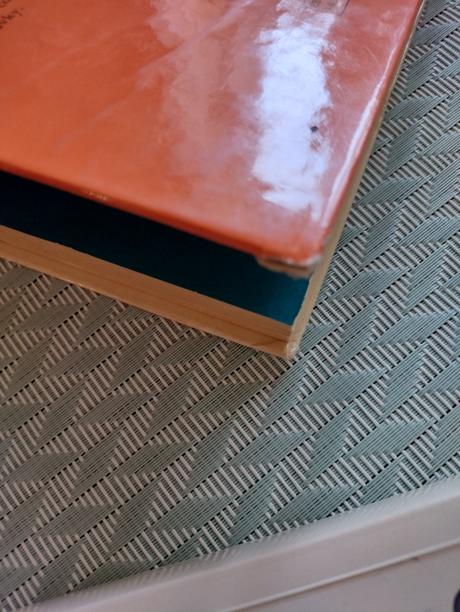 Stopy bieleho mesiaca,