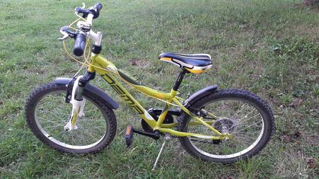 Bicykel dema vega 20", dema,20