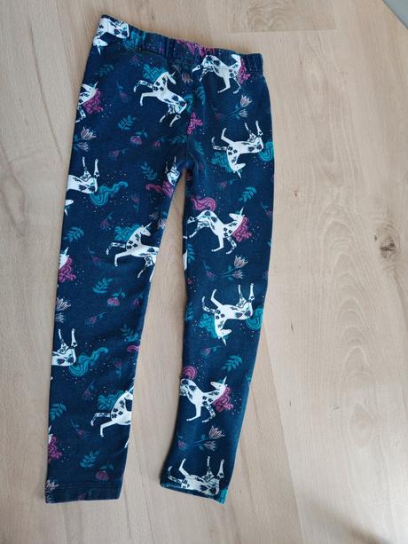 Legíny 110/116, 116