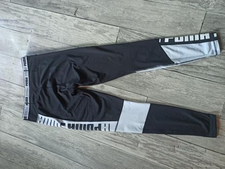 Leginy, puma,m