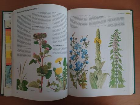 Abc prírody - svet v otázkach a odpovediach (1997), 