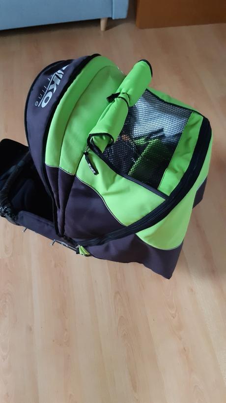 Kočík, riko,riko alpina