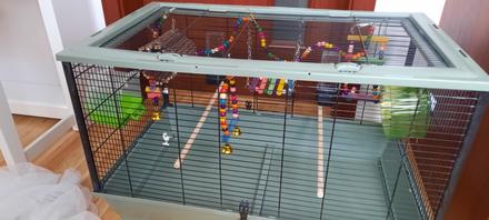 Klietka pre vtaciky, 