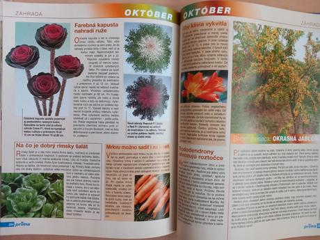 Receptár prima nápadov 2 - sk jazyk, vydanie 2004,