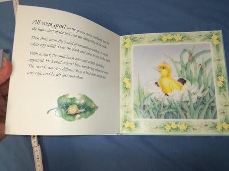 Little duck lost    jul18, 