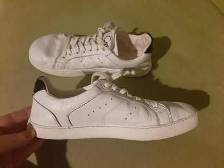 Groundies universe regular, 38