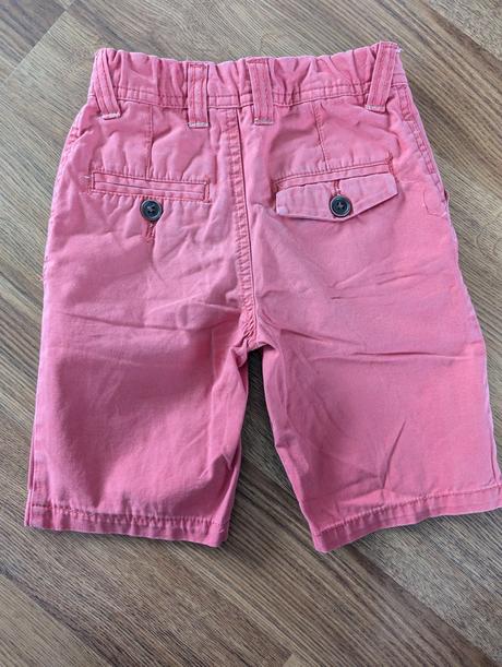 Kraťase, st. bernard,104