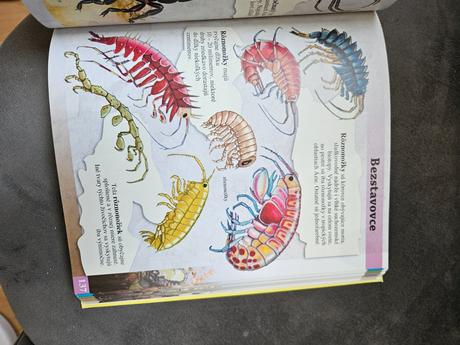 Enciklopedia zvierat, 