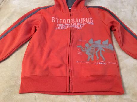 Dinosaurus mikina, 116