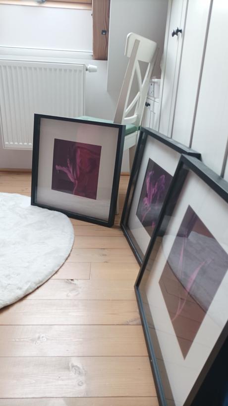 Rámiky s obrazom kvetov, 